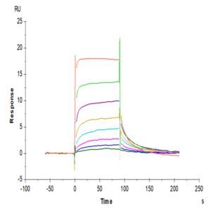 Human FcRn Protein (FRN-HM101)
