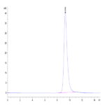 Mouse FcRn Protein (FRN-MM101)