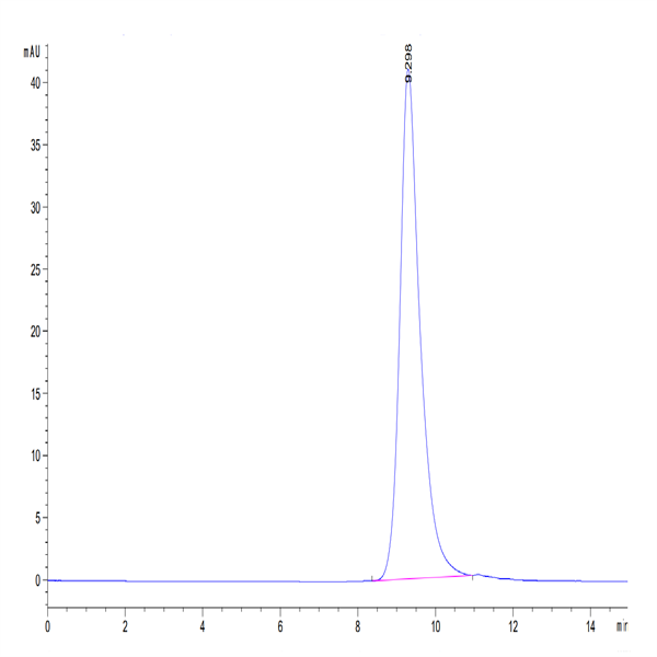 Mouse FcRn Protein (FRN-MM101)