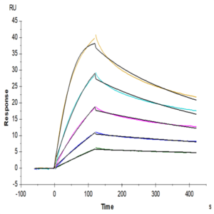 Cynomolgus/Rhesus macaque TNFSF15 Protein (FSF-CM115)