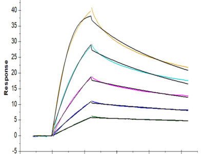 Cynomolgus/Rhesus macaque TNFSF15 Protein (FSF-CM115)