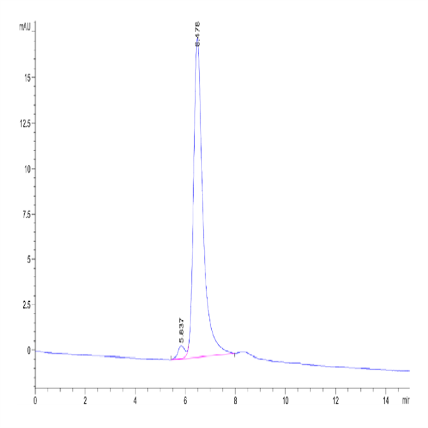 Cynomolgus/Rhesus macaque TNFSF15 Protein (FSF-CM115)