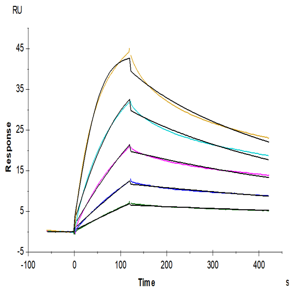 Human TNFSF15 Protein (FSF-HM115) Human TNFSF15 Protein (FSF-HM115)