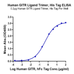 Human GITR Ligand/TNFSF18 Trimer Protein (FSF-HM418)