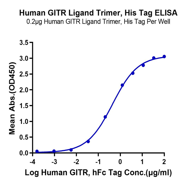 Human GITR Ligand/TNFSF18 Trimer Protein (FSF-HM418) Human GITR Ligand/TNFSF18 Trimer Protein (FSF-HM418)