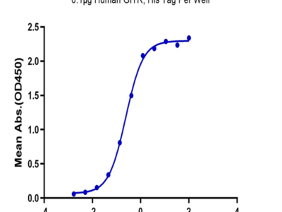 Biotinylated Human GITR Ligand/TNFSF18 Trimer Protein (Primary Amine Labeling) (FSF-HM418B)