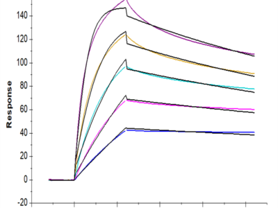 Mouse TNFSF15 Protein (FSF-MM415)