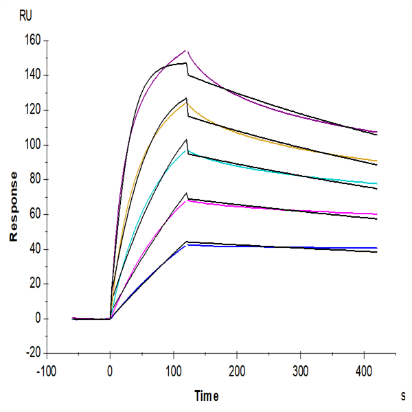 Mouse TNFSF15 Protein (FSF-MM415) Mouse TNFSF15 Protein (FSF-MM415)