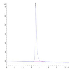 Cynomolgus FSHB Protein (FSH-CM10B)