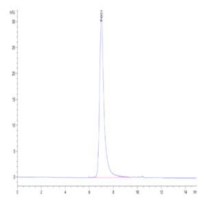 Human FSHB Protein (FSH-HM10B)