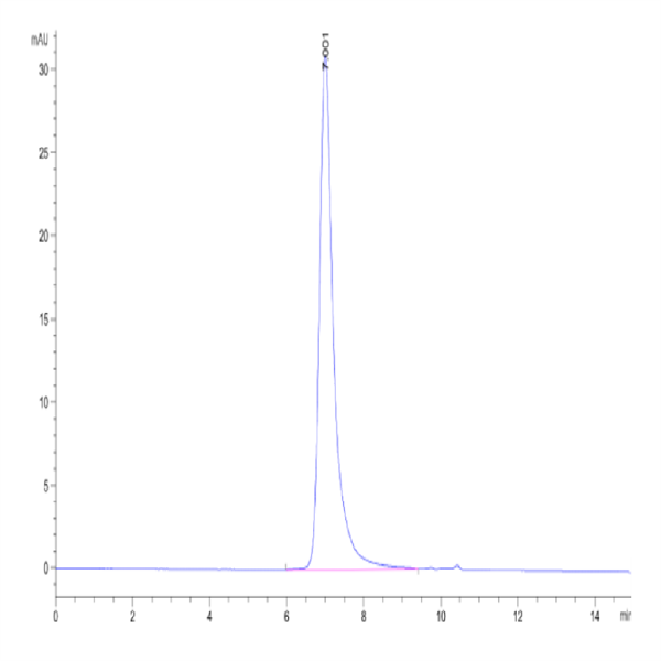 Human FSHB Protein (FSH-HM10B)