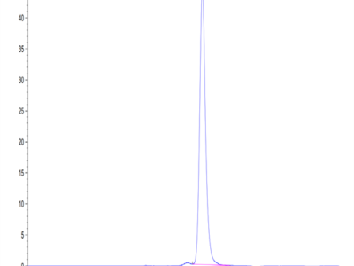 Human FSHB Protein (FSH-HM201)