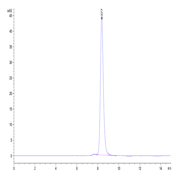 Human FSHB Protein (FSH-HM201) Human FSHB Protein (FSH-HM201)
