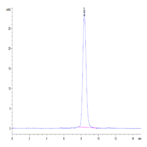 Mouse FSHB Protein (FSH-MM201)