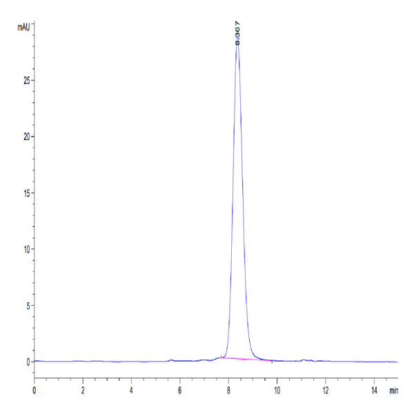 Mouse FSHB Protein (FSH-MM201)