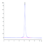 Human FSTL1 Protein (FST-HM1L1)