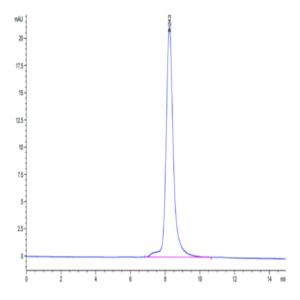 Human FSTL1 Protein (FST-HM1L1)