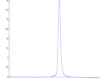 Human FSTL1 Protein (FST-HM1L1)