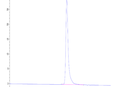 Cynomolgus Coagulation factor XI Protein (FXI-CM101)