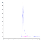 Human Factor XI Protein (FXI-HM101)