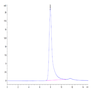 Human Factor XI Protein (FXI-HM101)