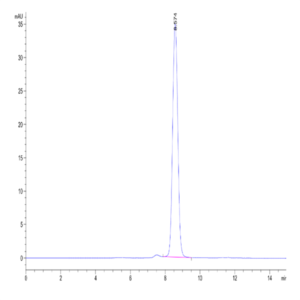 Mouse Galectin 1 Protein (GAL-MM201)