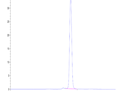 Mouse Galectin 1 Protein (GAL-MM201)