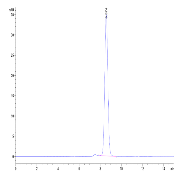Mouse Galectin 1 Protein (GAL-MM201) Mouse Galectin 1 Protein (GAL-MM201)