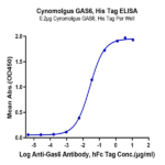Cynomolgus GAS6 Protein (GAS-CM106)
