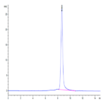 Cynomolgus GAS6 Protein (GAS-CM106)