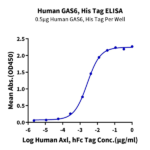 Human GAS6 Protein (GAS-HM116)