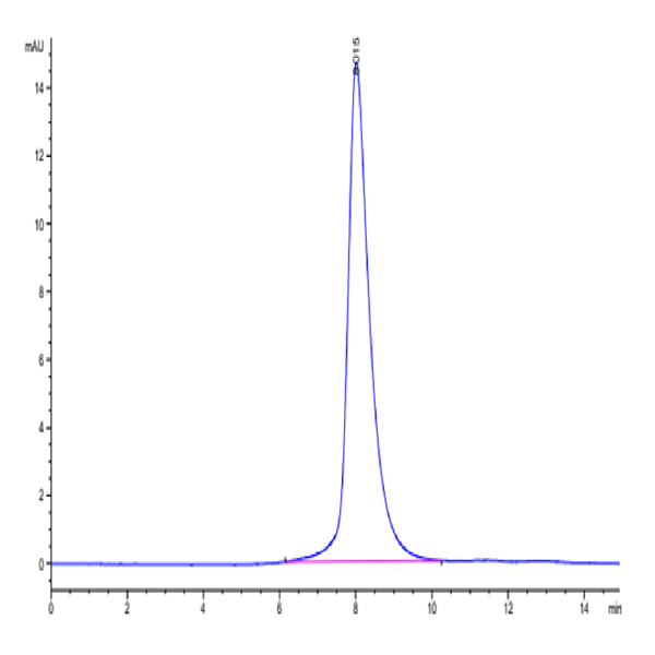 Human GAS6 Protein (GAS-HM116)