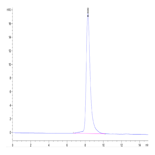 Mouse GAS6 Protein (GAS-MM106)