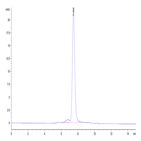 Cynomolgus GARP&Latent TGF beta 1 Complex Protein (GAT-CM401)