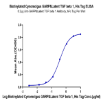 Biotinylated Cynomolgus GARP&Latent TGF beta 1 Complex Protein (GAT-CM401B)