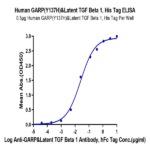 Human GARP (Y137H) &Latent TGF Beta 1 Complex Protein (GAT-HM102)