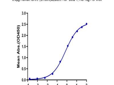 Human GARP (G139N) &Latent TGF Beta 1 Complex Protein (GAT-HM104)