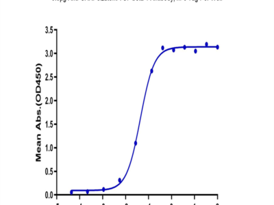 Biotinylated Human GARP&Latent TGF beta 1 Complex Protein (GAT-HM401B)