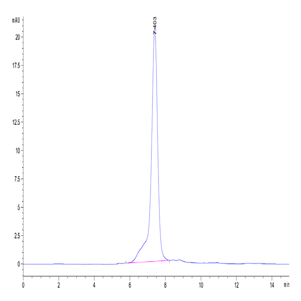 Human GARP (Y137H&S138G&G139N) &Latent TGF Beta 1 Complex Protein (GAT-HM405) Human GARP (Y137H&S138G&G139N) &Latent TGF Beta 1 Complex Protein (GAT-HM405)