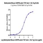 Biotinylated Mouse GARP&Latent TGF beta 1 Complex Protein (GAT-MM401B)