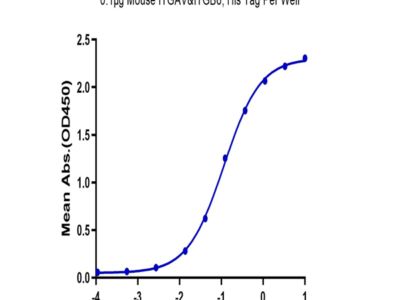 Biotinylated Mouse GARP&Latent TGF beta 1 Complex Protein (GAT-MM401B)