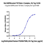 Rat GARP&Latent TGF Beta 1 Complex Protein (GAT-RM401)