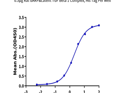 Rat GARP&Latent TGF Beta 1 Complex Protein (GAT-RM401)