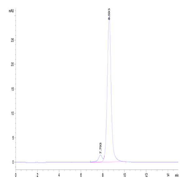 Human GBA/glucocerebrosidase Protein (GBA-HM101) Human GBA/glucocerebrosidase Protein (GBA-HM101)