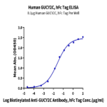 Human GUCY2C/Guanylyl cyclase C Protein (GCC-HM201)