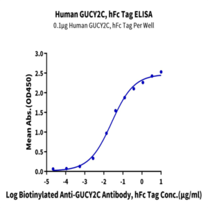 Human GUCY2C/Guanylyl cyclase C Protein (GCC-HM201)