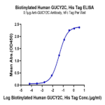 Biotinylated Human GUCY2C/Guanylyl cyclase C Protein (GCC-HM401B)
