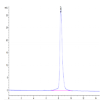 Biotinylated Human GUCY2C/Guanylyl cyclase C Protein (GCC-HM401B)