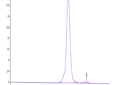 Mouse GUCY2C/Guanylyl cyclase C Protein (GCC-MM401)