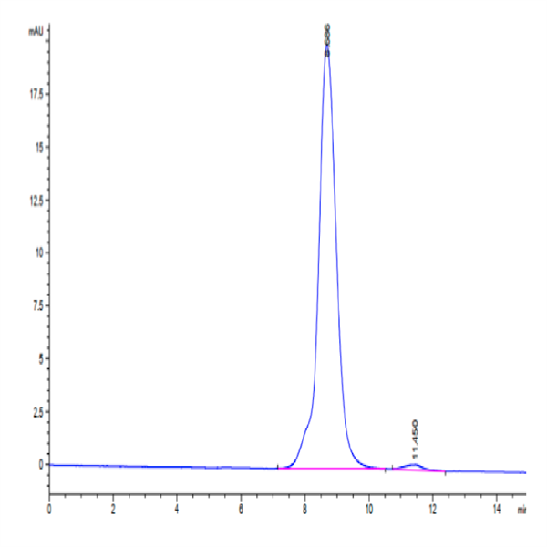 Mouse GUCY2C/Guanylyl cyclase C Protein (GCC-MM401)